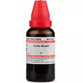 Dr. Willmar Schwabe India Luffa Bindal Mother Tincture Q