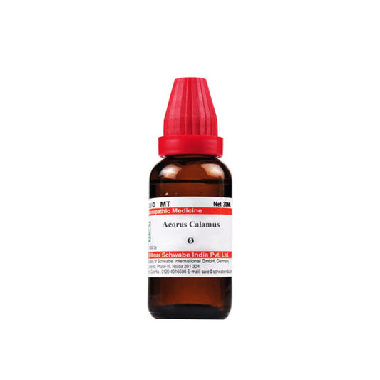 Dr. Willmar Schwabe India Acorus Calamus Mother Tincture Q