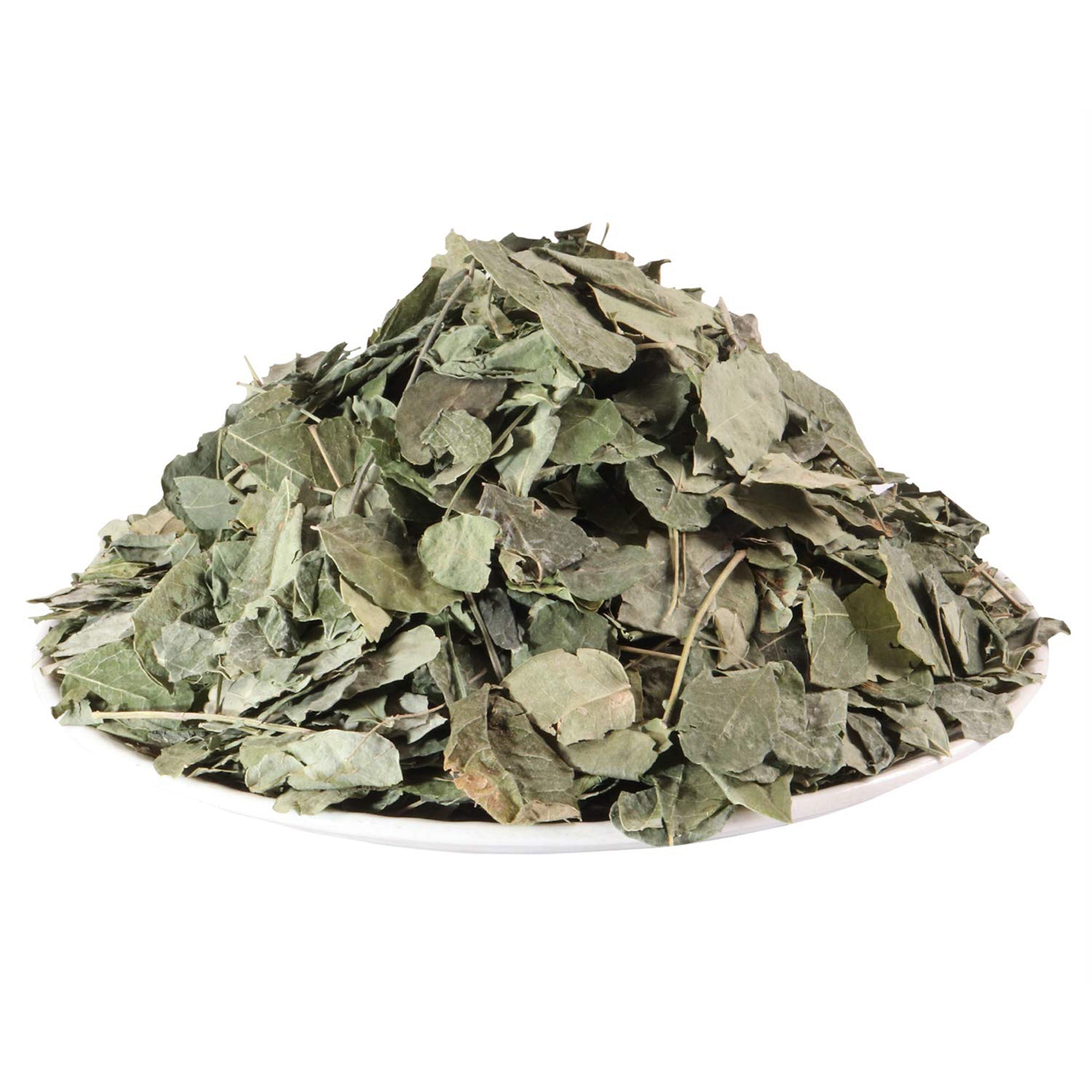 Yuvika Moringa Leaves - Moringa oleifera - Sohjana Patti image 2