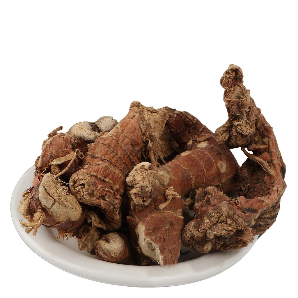 Yuvika Kulanjan/Kulinjan/Alpinia Galanga Wild/Siamese Ginger/Thai Ginger image 2