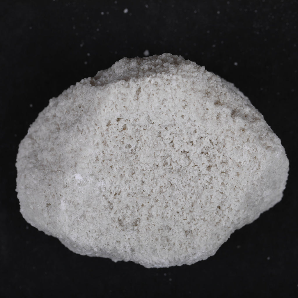 Yuvika Sajji Safed - Papad Khar - Salsola stocksii - Safad Sajji image 2