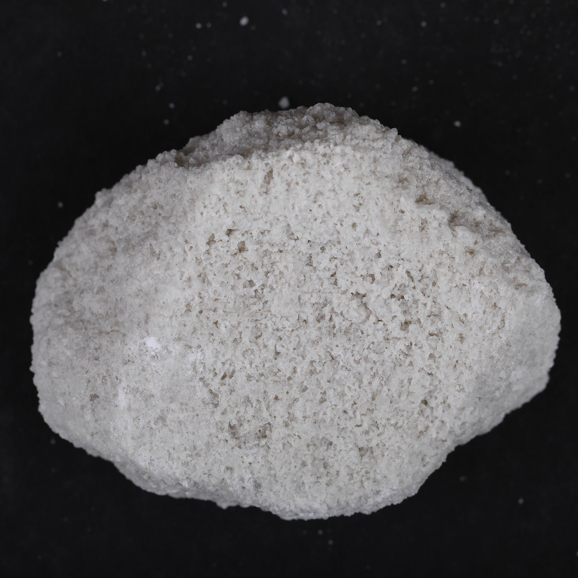 Yuvika Sajji Safed - Papad Khar - Salsola stocksii - Safad Sajji image 2