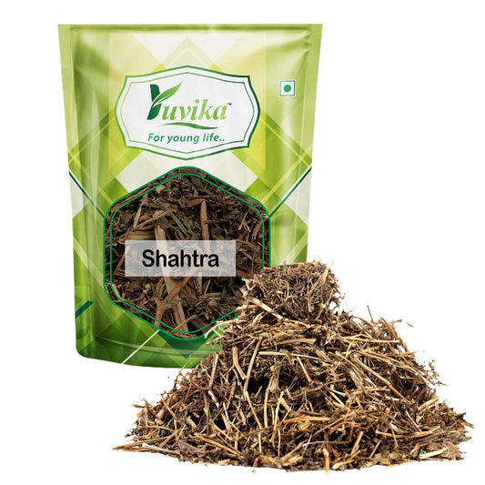 Yuvika Shahtra - Shahatra - Shatra - Pitpapda - Fumaria parviflora