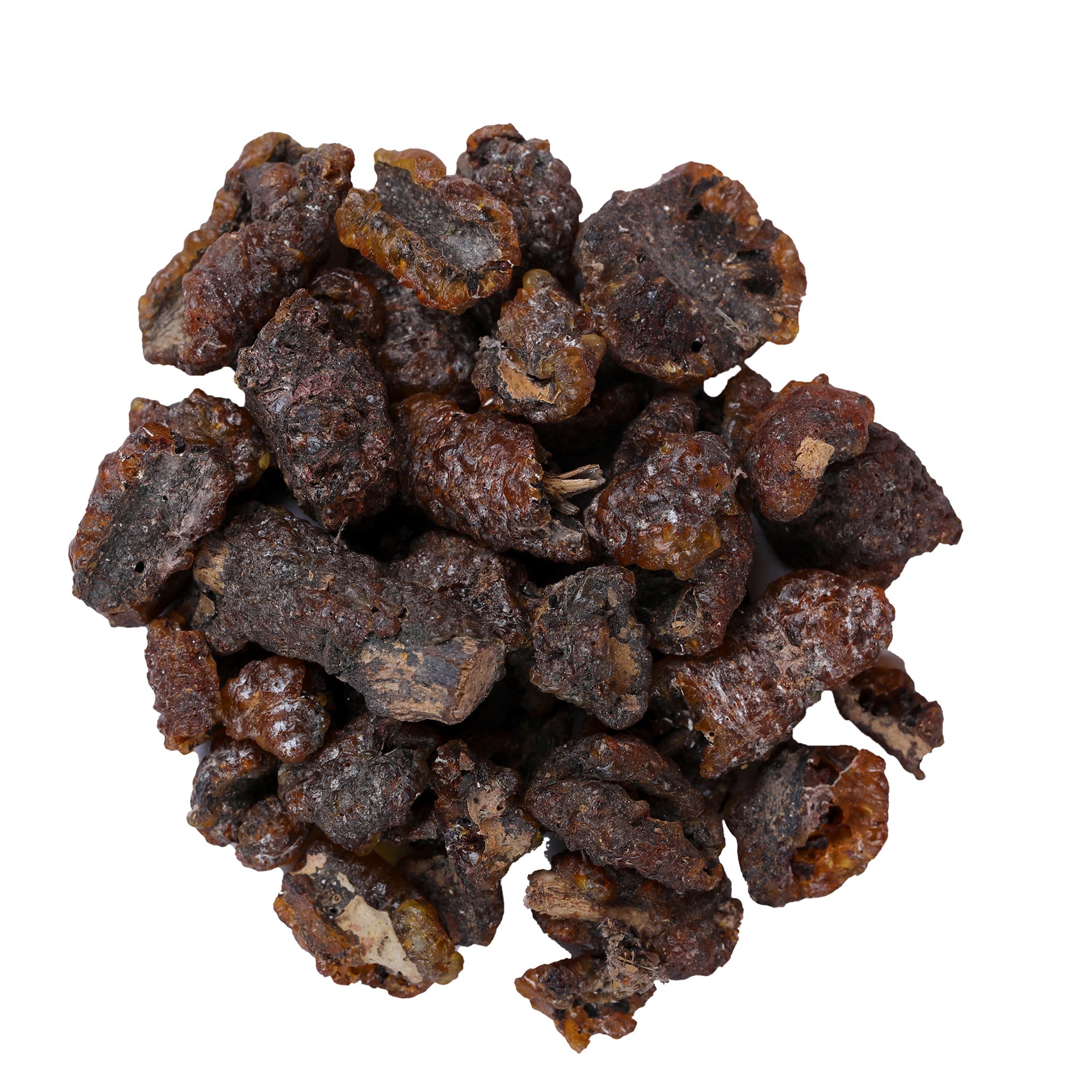Yuvika Lakh Pipal - Ficus Religiosa - Shellac Lac - Holy Fig Tree image 2