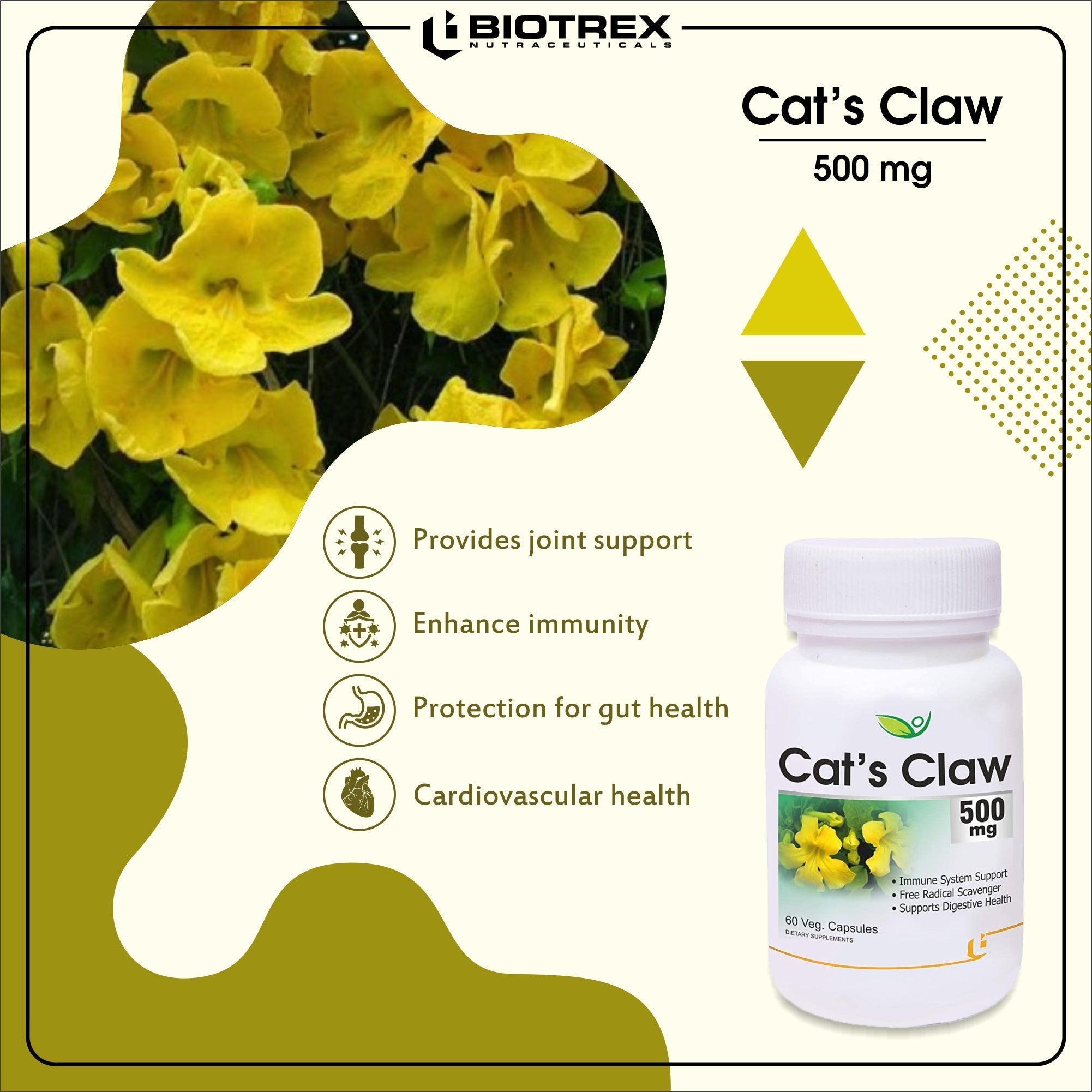 Biotrex Cat's Claw 500 mg - 60 tabs image 6
