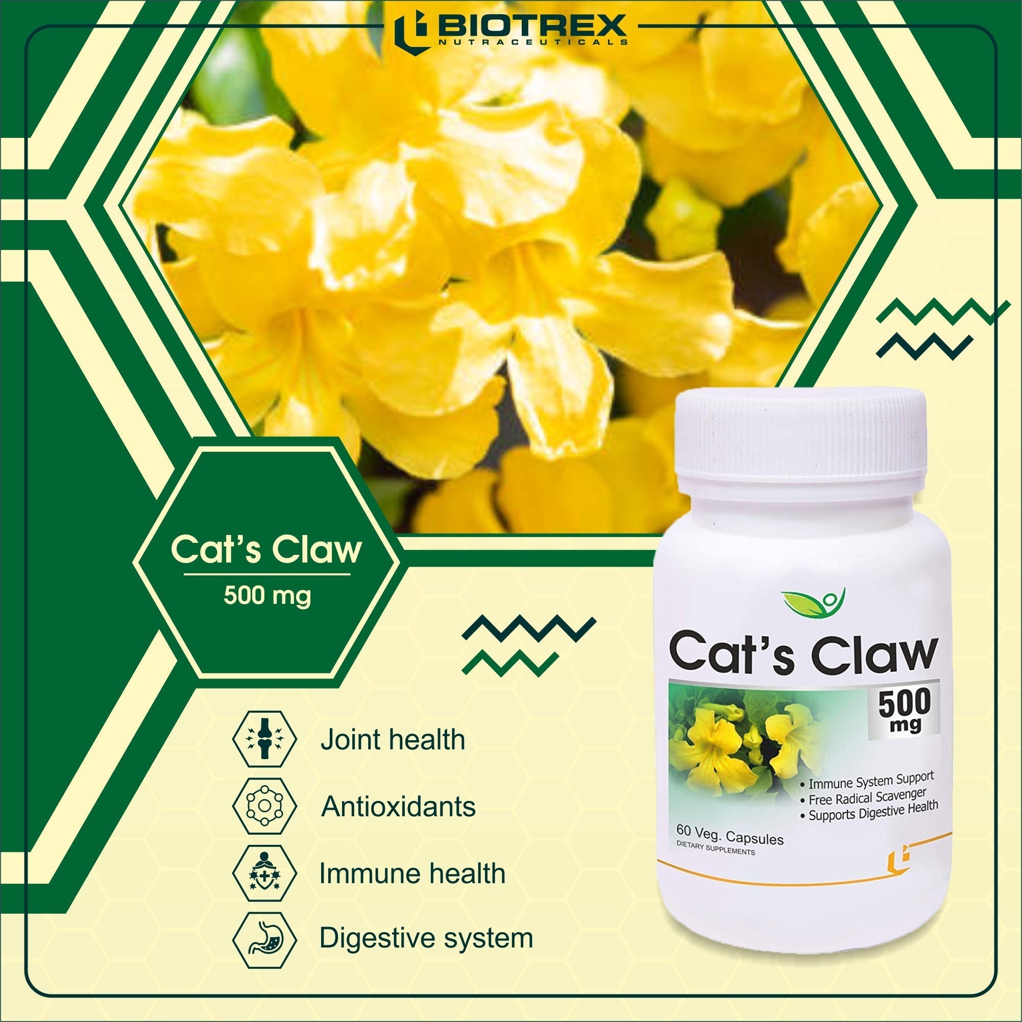Biotrex Cat's Claw 500 mg - 60 tabs image 4