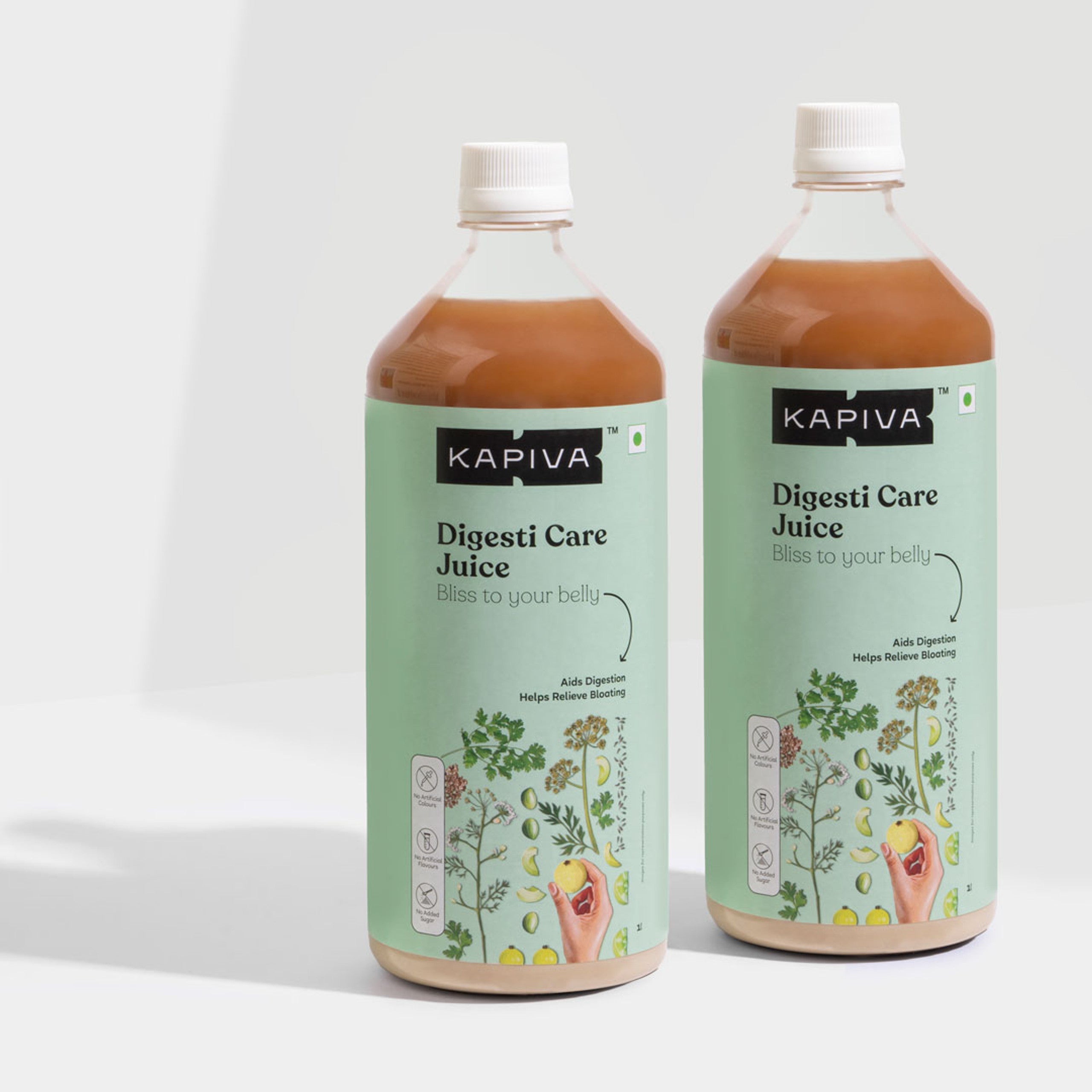 Kapiva Ayurveda Plant-Based Wellness Drink - (Pack of 2)