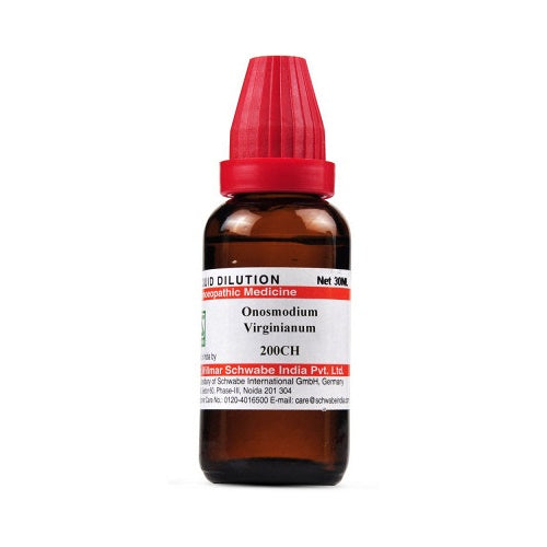 Dr. Willmar Schwabe India Onosmodium Virginianum image 2