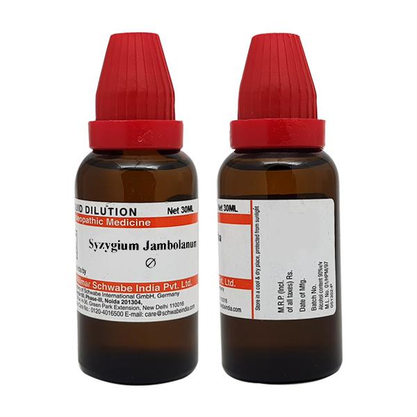 Dr. Willmar Schwabe India Syzygium Jambolanum Mother Tincture Q - 30 ml image 2