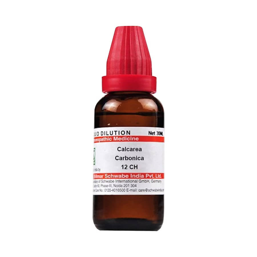 Dr. Willmar Schwabe India Calcarea Carbonica Dilution image 2