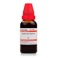 Dr. Willmar Schwabe India Euphorbia Lathyris Mother Tincture Q