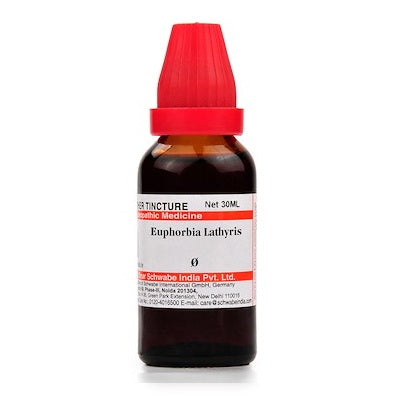 Dr. Willmar Schwabe India Euphorbia Lathyris Mother Tincture Q