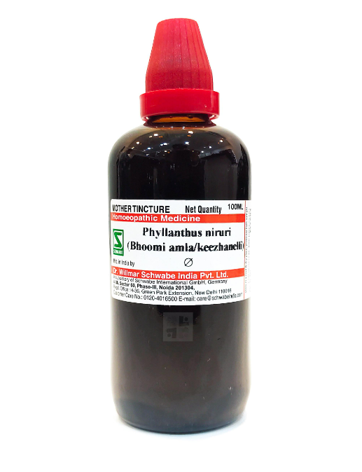 Dr. Willmar Schwabe India Phyllanthus Niruri Mother Tincture Q - 30 ml