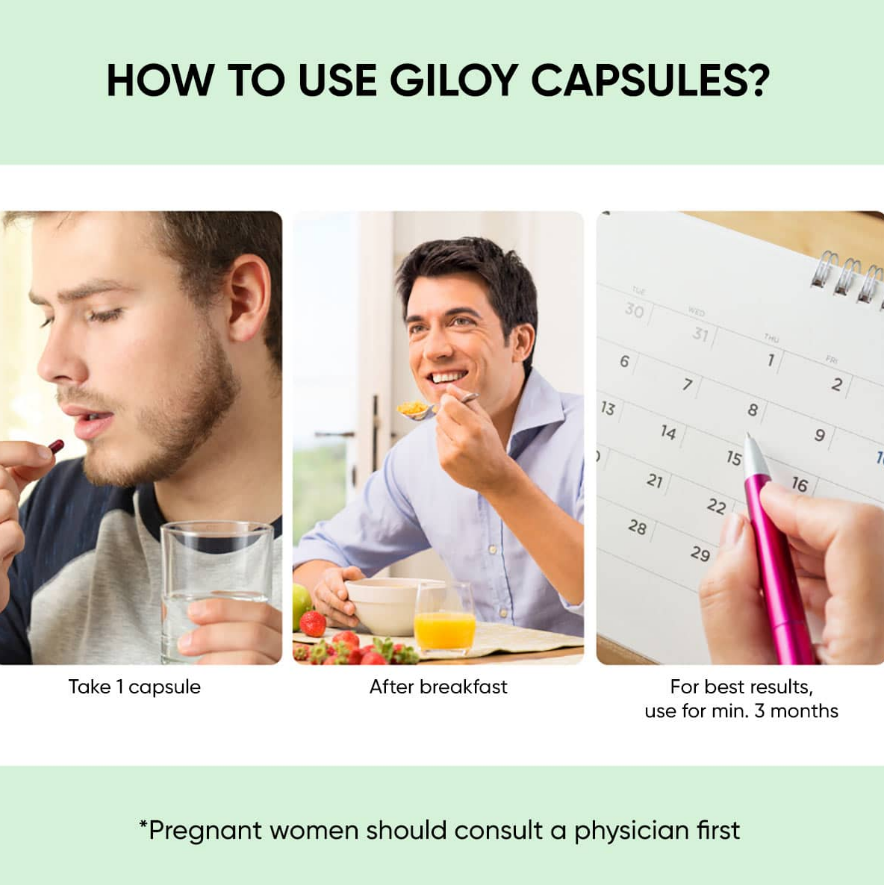 Dr. Vaidya's Giloy - 30 Cap image 4