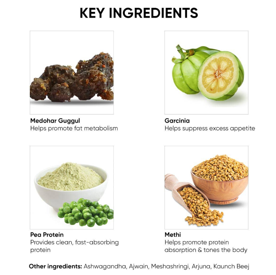 Dr. Vaidya's Plant Protein - 500 gms (Pack of 2) image 4