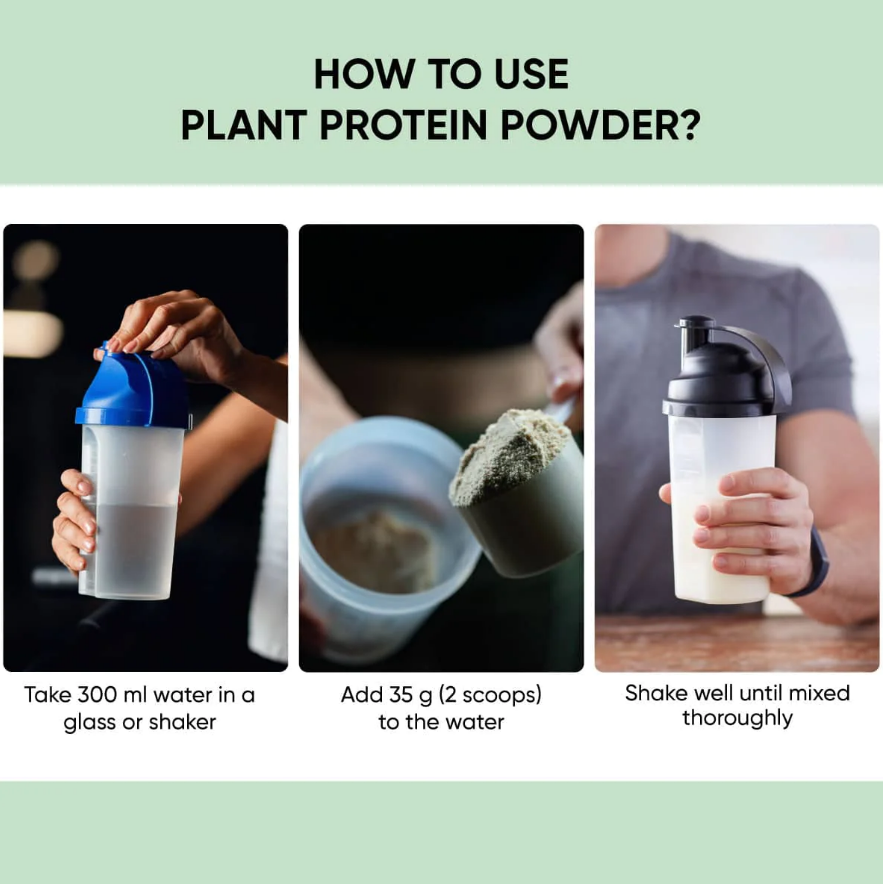 Dr. Vaidya's Plant Protein - 500 gms (Pack of 2) image 5