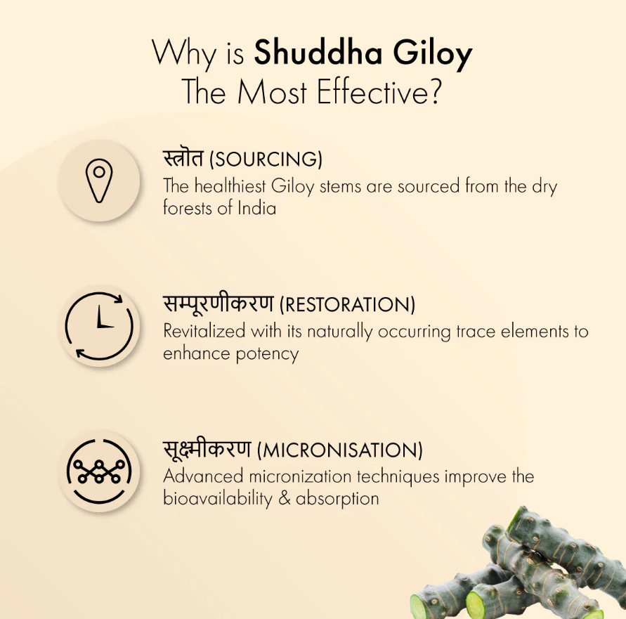 Dr. Vaidya's Shuddha Giloy - 60 Cap image 2