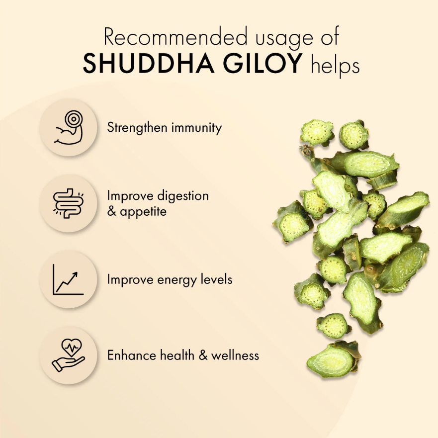 Dr. Vaidya's Shuddha Giloy - 60 Cap image 3