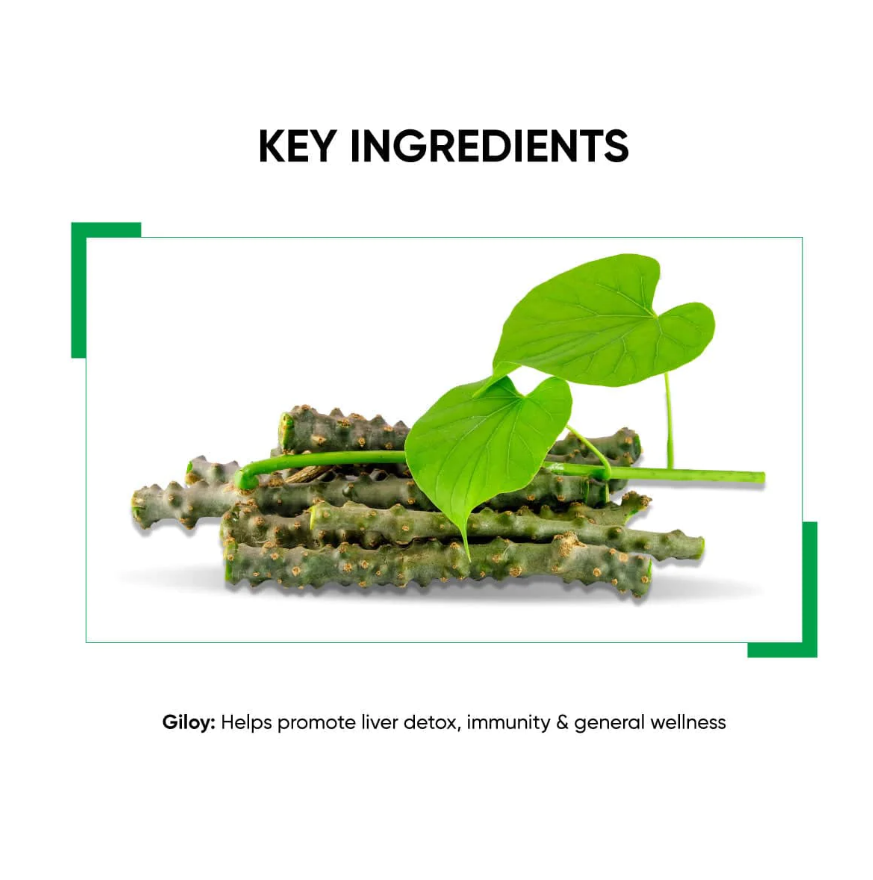 Dr. Vaidya's Giloy Juice - 950ml image 3