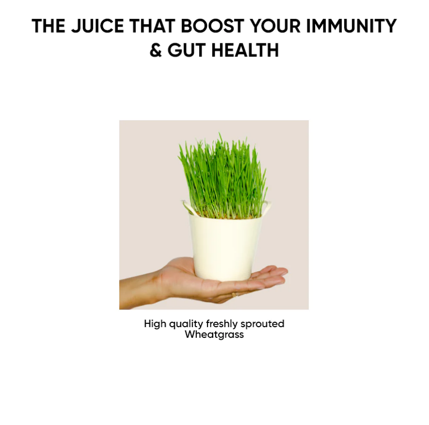 Dr. Vaidya's WheatGrass Juice - 1000 ml image 4