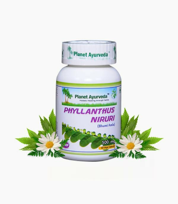 Planet Ayurveda Phyllanthus Niruri Capsules - 60 tabs image 2