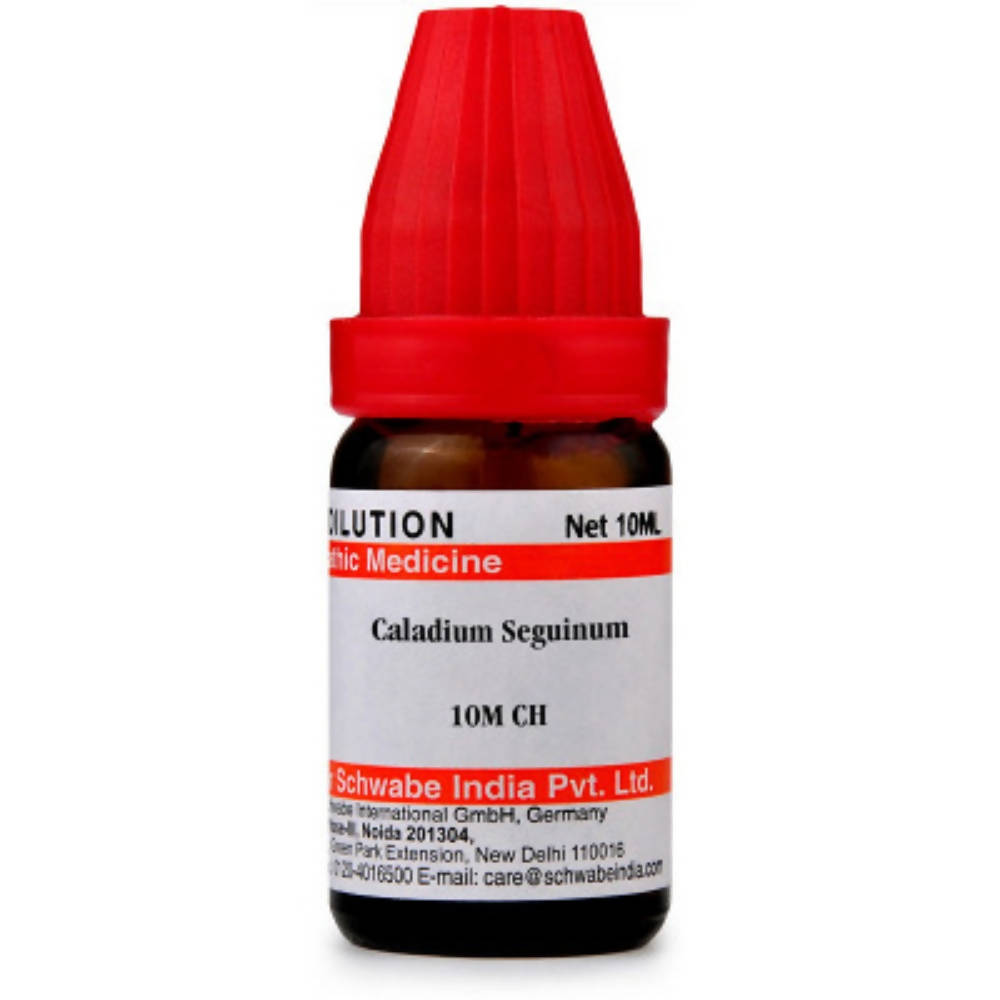 Dr. Willmar Schwabe India Caladium Seguinum Dilution image 6