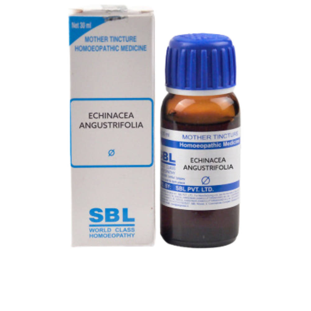 SBL Homeopathy Echinacea Angustrifolia Mother Tincture Q image 2