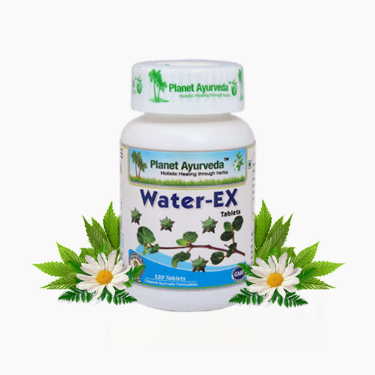 Planet Ayurveda Water-Ex Tablets - 120 tabs