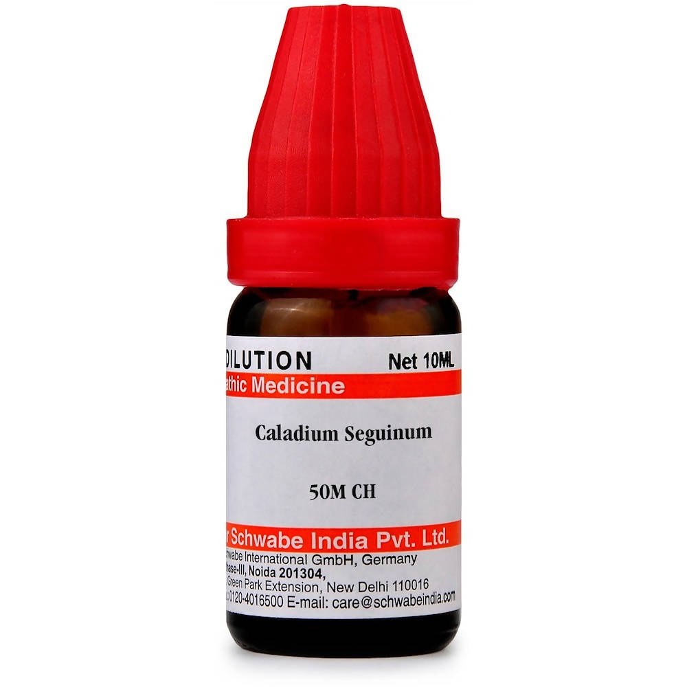 Dr. Willmar Schwabe India Caladium Seguinum Dilution image 7