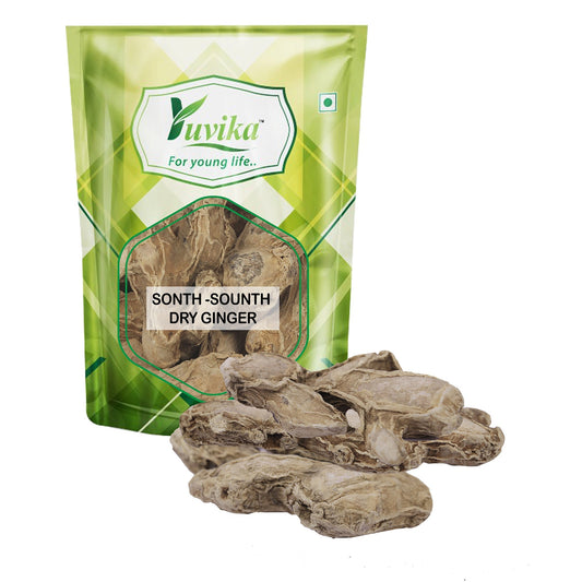 Yuvika Sonth - Sounth - Sunthi - Zingiber Officinale - Dry Ginger