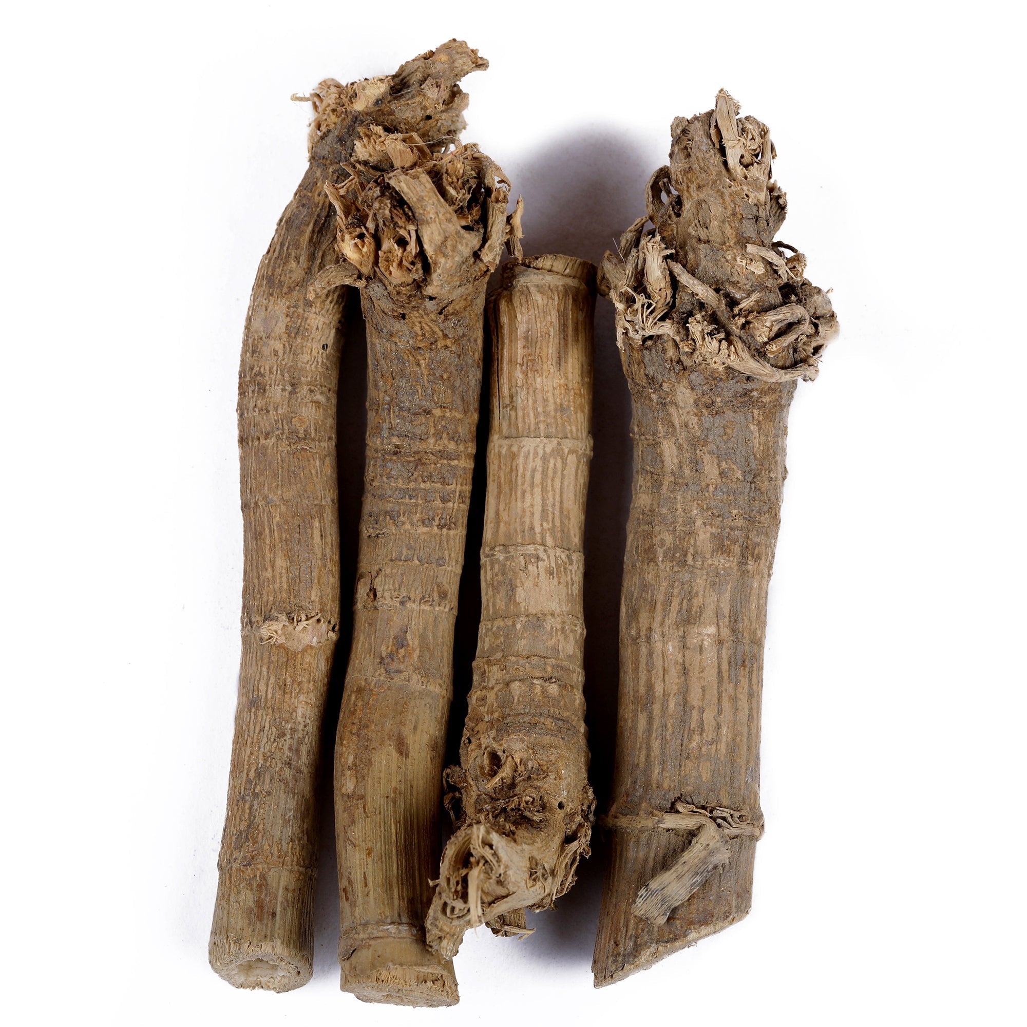 Yuvika Sonf Jadd - Saunf Jadd - Saunf Roots image 2