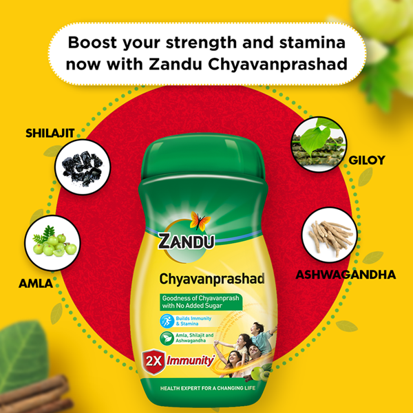 Zandu (Sugar Free) Chyavanprashad - 900 Gms image 4