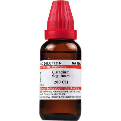 Dr. Willmar Schwabe India Caladium Seguinum Dilution image 2