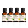 Vasu Aromatics Combo of Basil & Peppermint & Lemon & Lemongrass Essential Oil - 40 ml