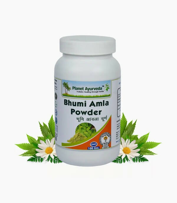 Planet Ayurveda Bhumi Amla Powder - 100 gms image 2