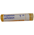 Boiron Eupatorium Perfoliatum Pellets - 80 Pellets