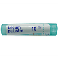 Boiron Ledum Palustre Pellets - 80 Pellets
