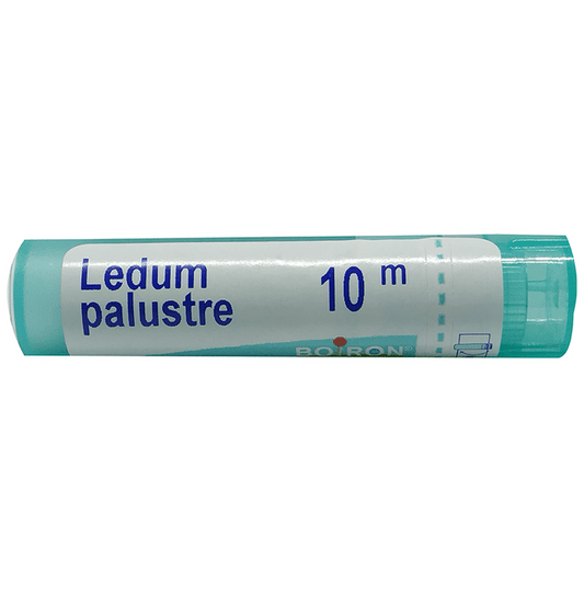 Boiron Ledum Palustre Pellets - 80 Pellets