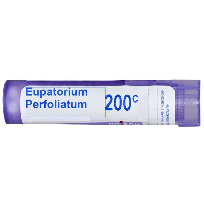 Boiron Eupatorium Perfoliatum Pellets - 80 Pellets image 2