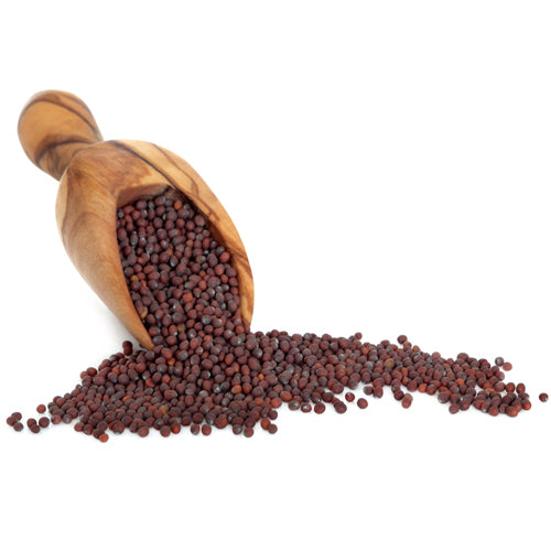 Yuvika Rai Seeds - Red Mustard Seeds image 2