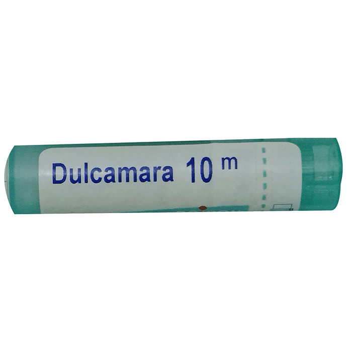 Boiron Dulcamara Pellets - 80 Pelletes image 2