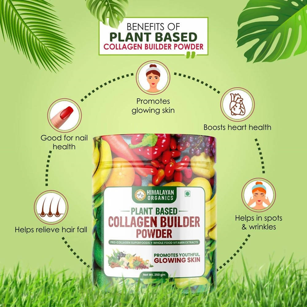 Himalayan Organics Plant Based Collagen Builder Powder - 250 gms image 5