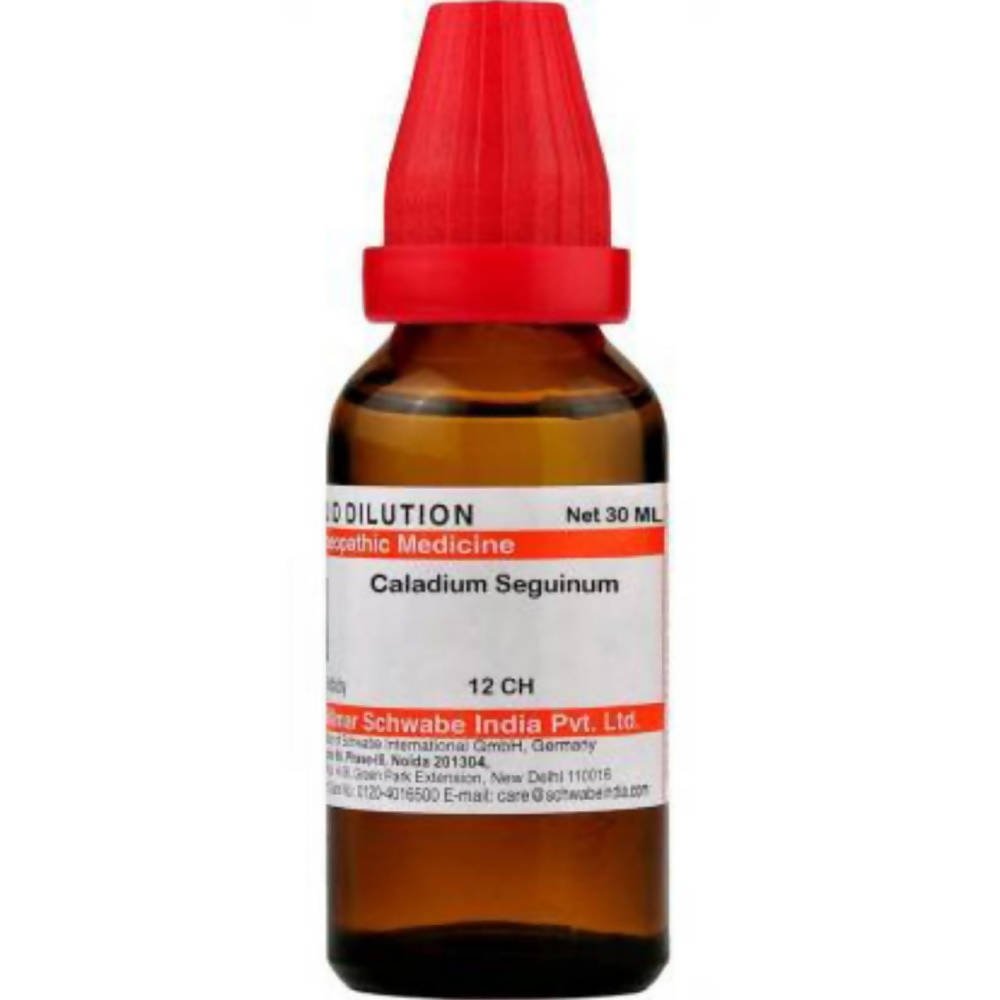 Dr. Willmar Schwabe India Caladium Seguinum Dilution image 5