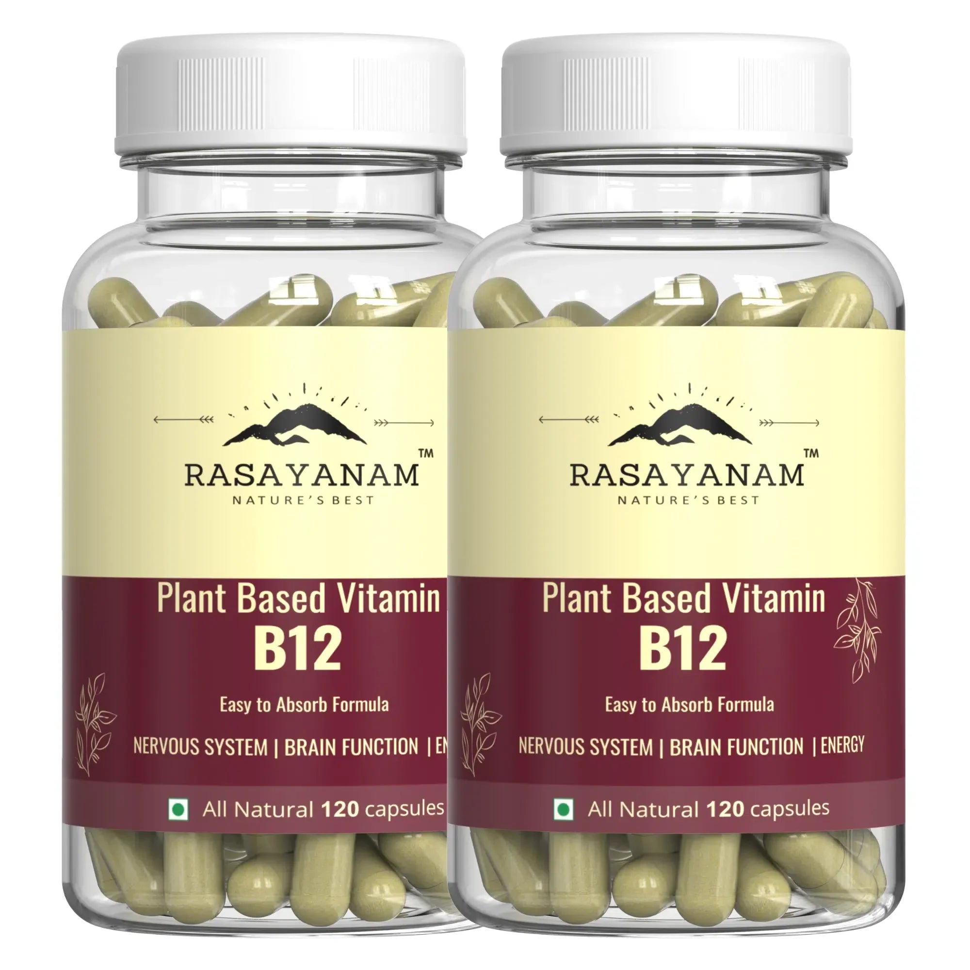 Rasayanam Plant-Based Vitamin B12 image 2