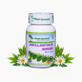 Planet Ayurveda Phyllanthus Niruri Capsules - 60 tabs