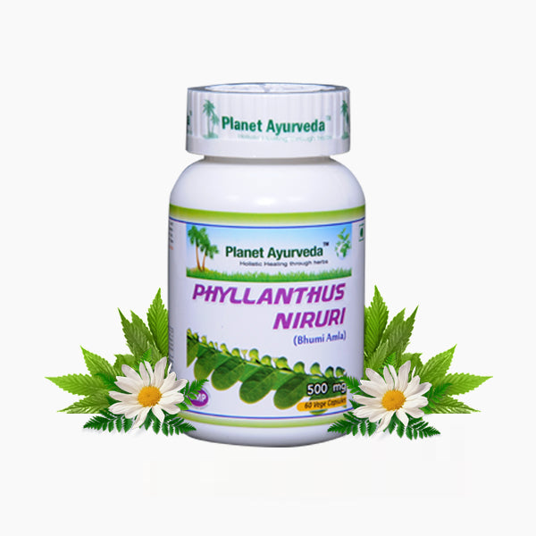 Planet Ayurveda Phyllanthus Niruri Capsules - 60 tabs