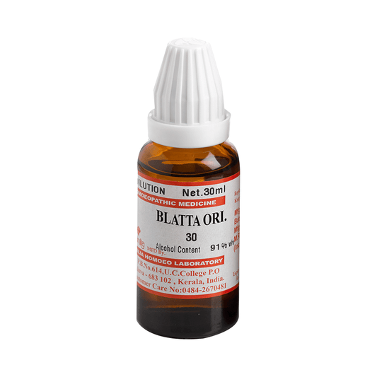 Similia Blatta Ori Dilution 30 CH - 30 ml