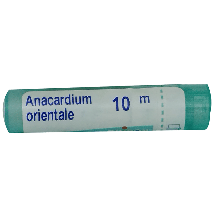 Boiron Anacardium Orientale Pellets - 80 Pellets image 2