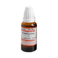 Similia Cydonia Vulg Dilution 30 CH - 30 ml