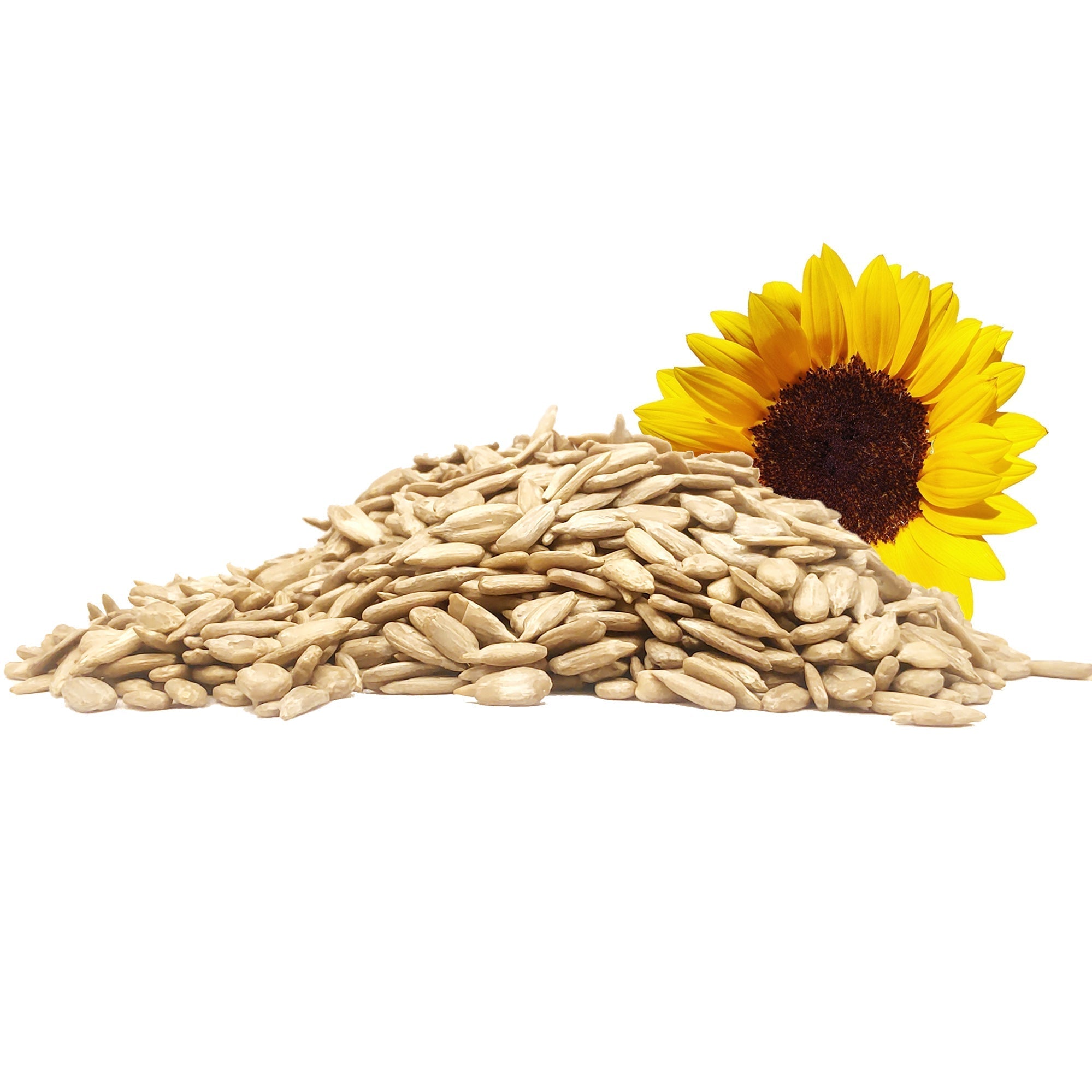 Yuvika Sunflower Seeds - Surajmukhi Magaj image 2